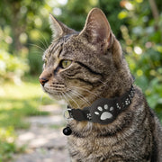 reflective AirTag-compatible pet collar – product image 3